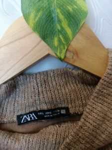 Zara Brown Turtleneck Pullover