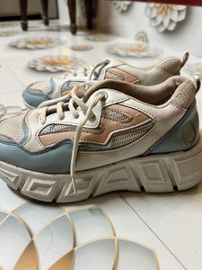 Casual Shoes