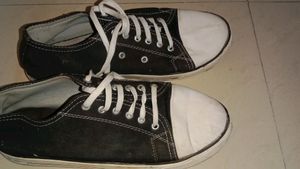 Converse Copy Slightly Used