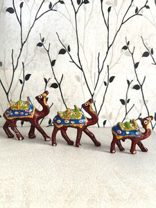 Camel Set