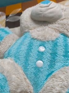 Cute Teddy Bear