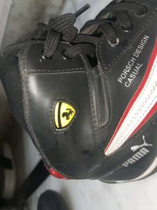 stylish shoes