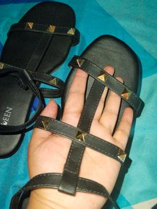 Brand New Flats