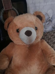 Teddy Bear