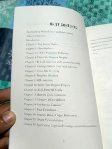 Real-World Bug Hunting