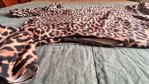 Zara Leopard Print midi Dress