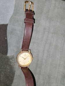 Real Titan Watch