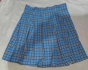 Blue Plaid Pleated Mini Skirt