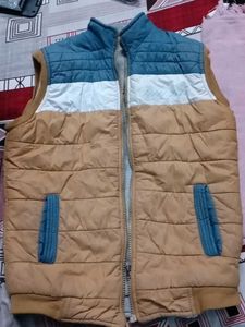 Men Padded Sleeveless Jacket