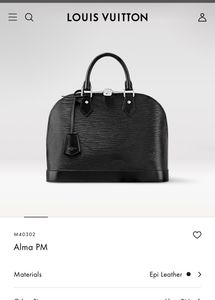 Louis Vuitton LV Black Bag