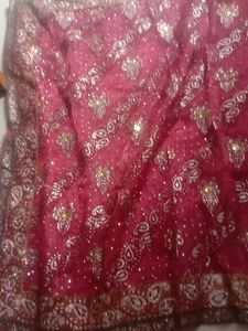 new Elegant onion . Embellished Saree