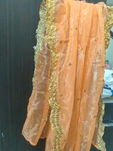 Elegant Peach Organza Duppta