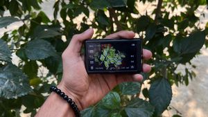 Sony Cybershot Camera