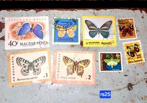 Stamp Collection