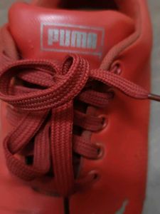 Red Puma Ferrari Sneakers