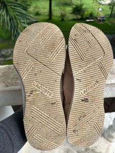 Lacoste Women's Sneakers