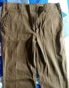 Brown Casual Pants