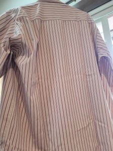 Daily Wear Shirt