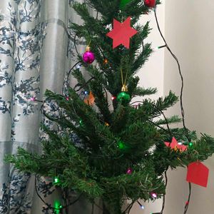Christmas Tree | 5 Feet