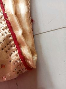 Embellished Golden Saree