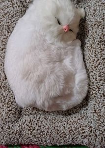 Sleeping Cat Plush Toy with Press Simulation Sound