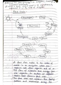 Environment(EVS) Engineering AKTU B.Tech Notes