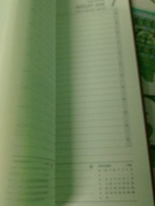 Left Over Last Year Diaries