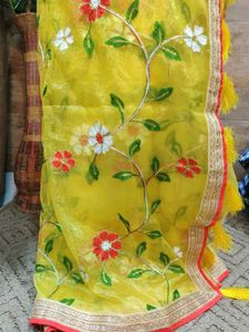 Brand New Organza Saree 10 Years
