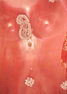 Hand Chikankari Tamato Red Top/ Short Kurta