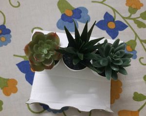 Succulent  Artificial Plants with pot