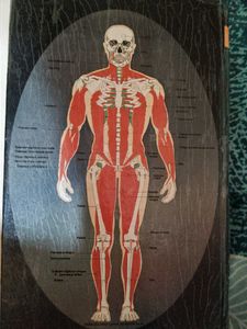 Medical Dictionary