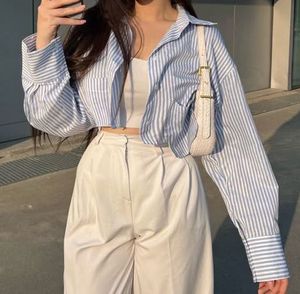 New Blue Stripe Shirt