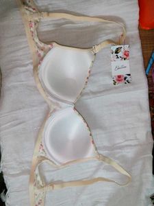 Ebillia Paded Bra