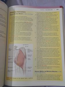 Anatomy Practical Grant&#39;s Dissector