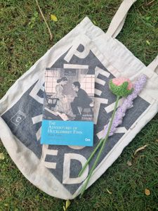 Huckleberry Finn Book