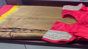 Multi coloured Saree with Blouse