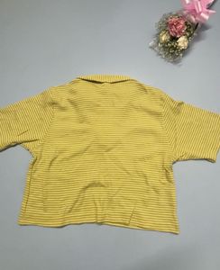 Polo Tshirt Collered Neck