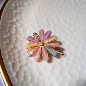 Assorted Hairclips