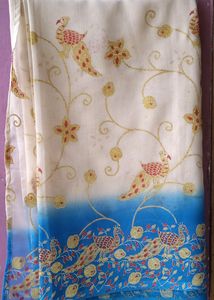 Beautiful Saree 💙