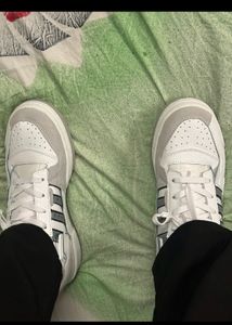 Adidas Forum