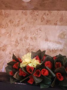 Plastic Flowers