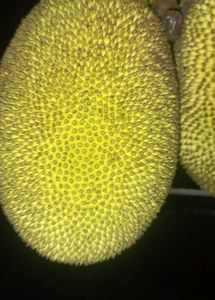 Organic Jackfruit Kathal Upto 1.5kg