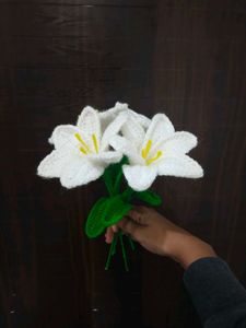 Viral Crochet Lilly 🤍