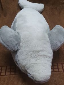 DOLPHIN - Good Size