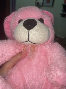 Pink Teddy Bear Plush
