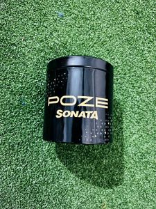 Sonata Poze Quartz Silver Dial Silve