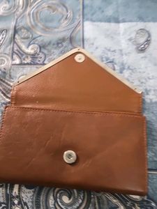 Brown Clutch with Gold Accent