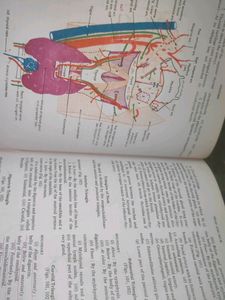 🛑🛑 Complete Anatomy