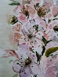Cherry Blossom 🌸  Artwork