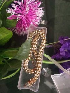 Sparkling Gold-Tone Necklace